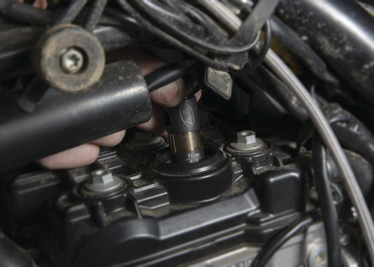 16mm Pro Plug Socket